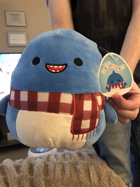 Unboxing and Reviewing the Witch Frlg Squishmallow: What to Expect